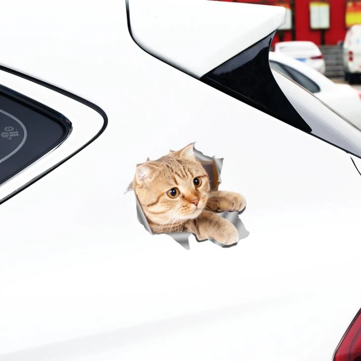 Autocollant de porte de voiture