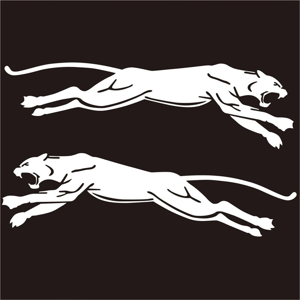 Vinyl Decal Sticker For Car Window