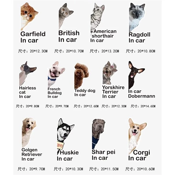 Autocollant de voiture animal mignon