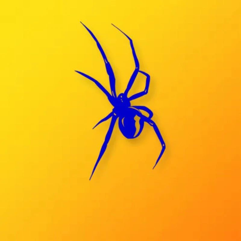 Colored Spider Motorcycle Stickers