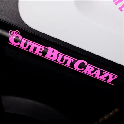 Autocollants de moto créatifs mignons mais fous