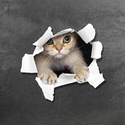 Carton d'autocollant Animal Car 3D pour la voiture