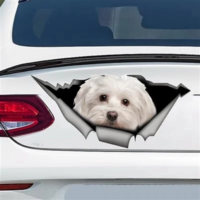 Autocollants pour chiens pour animaux de voiture pour animaux