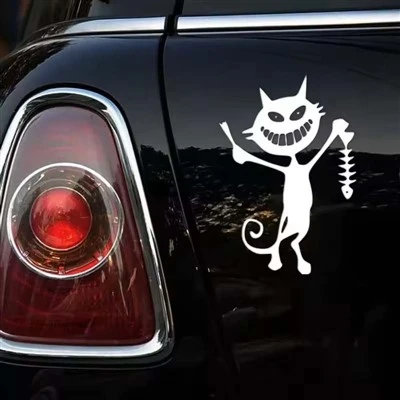 Décalque drôle de poisson et de chat pour la voiture
