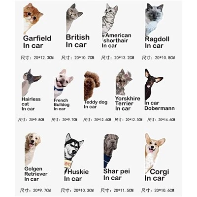 Autocollant de voiture animal mignon