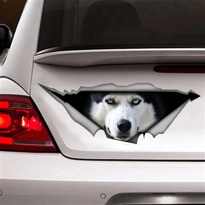 HEAD DOG PET Animal Self - Adhesive Decal