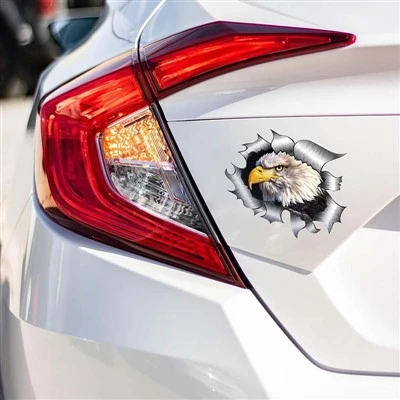 Autocollant de voiture pygargue à tête blanche des États-Unis